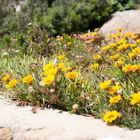 Сasa de vacaciones Belocations - Torre Di Marte *